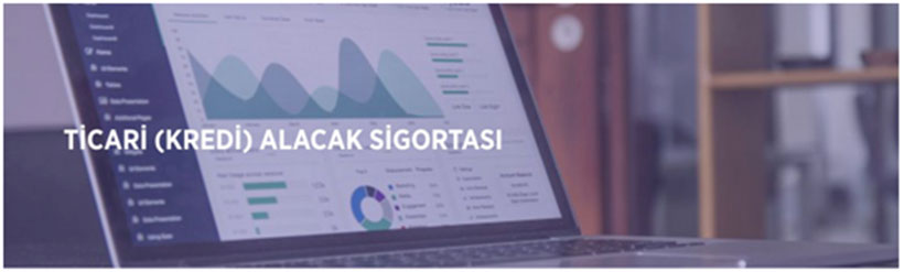 Muafiyetli Oto Kaskom